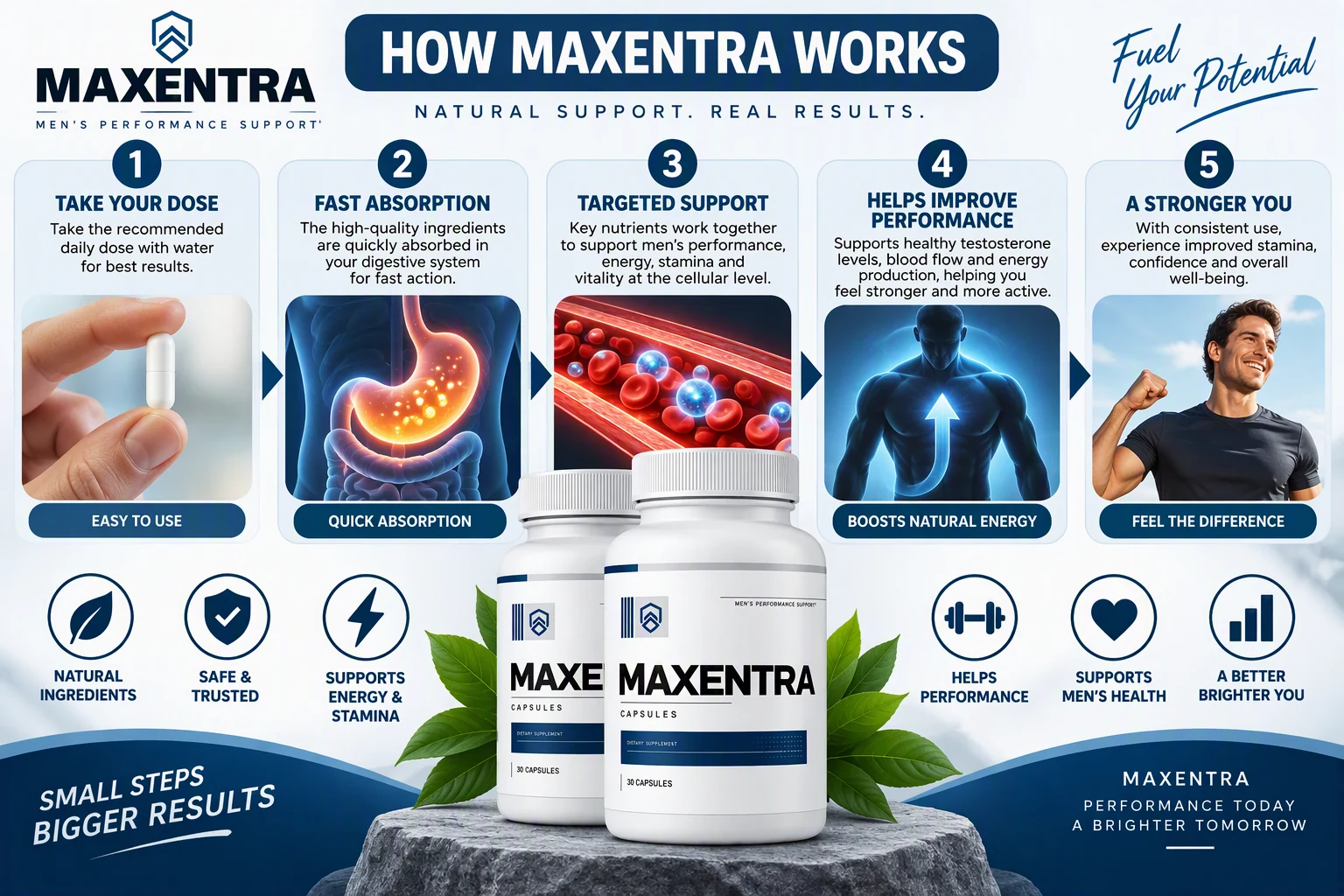 How Maxentra works: take your dose, fast absorption, targeted support, helps improve performance, a stronger you